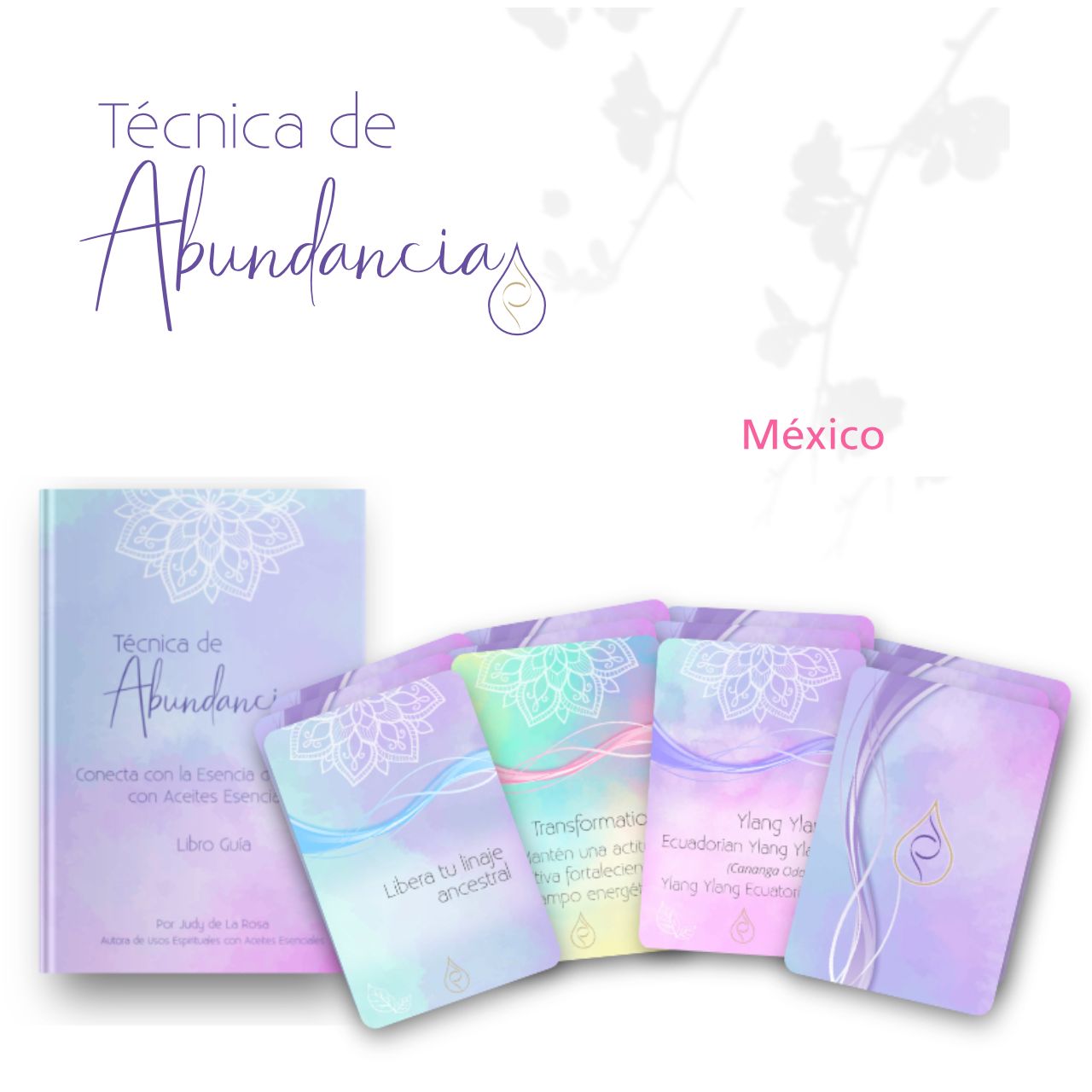 Cartas de Técnica Abundancia para Mexico